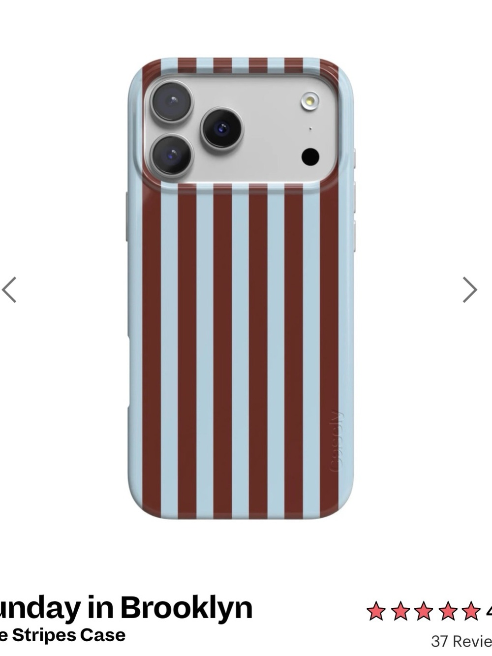 Casetify Brooklyn Brown & Light Blue Vertical iPhone 18 pro max case
